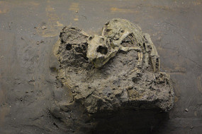 ����������ʯ