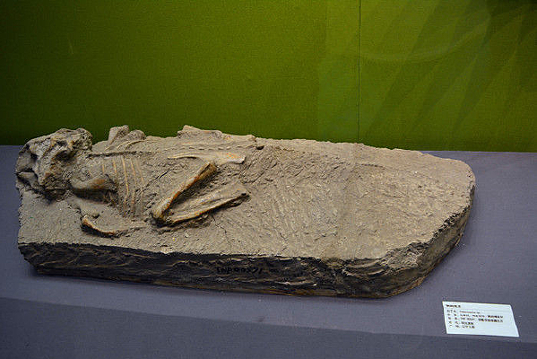 ����������ػ�ʯ