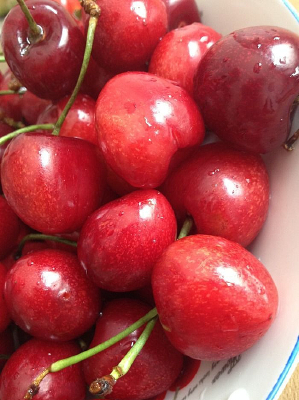 �����ӵ��ջ�