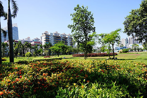 �����̻�