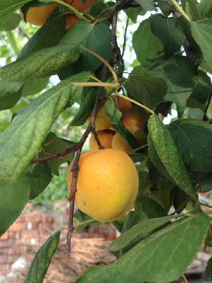 �������