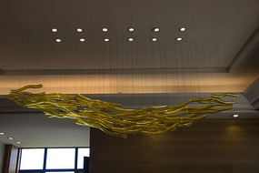 ��ɫ���ܲ��˼Ҿӵ���