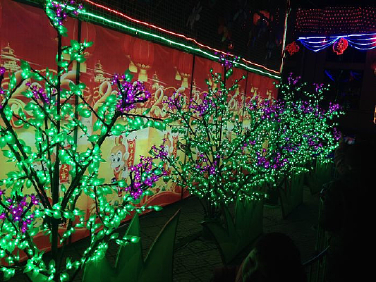 ��������