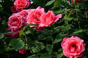 ����˵��¼���