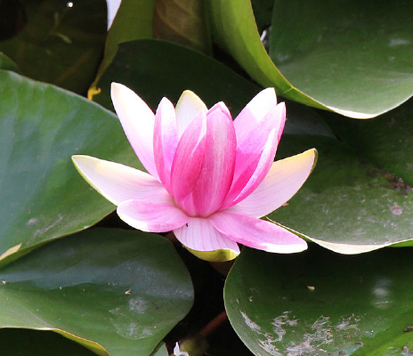 ����֮��