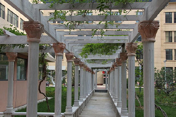 �����ĳ���