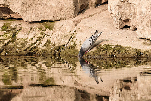 ˮ���߸�����ˮ