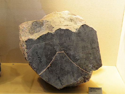 ΰ������﮵���ʯ