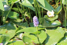 һ���ϻ����Կ�