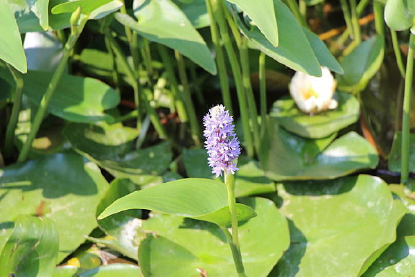 һ���ϻ����Կ�