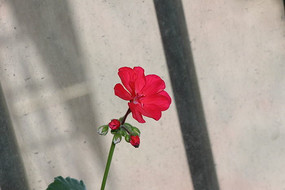 �컨���Կ�