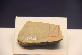 ������滯ʯ