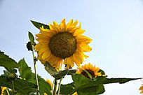 �����µ����տ�