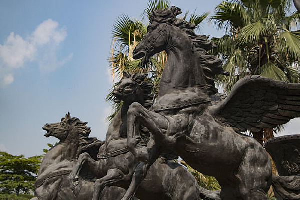 ��ƥ��������