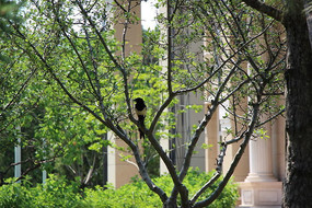 ������ε�ϲȵ