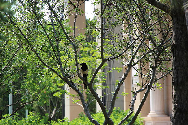 ������ε�ϲȵ