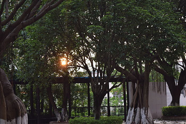 �����Ĺ�԰