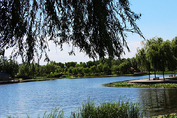 �ӱ�����