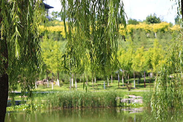 �ӱ���������