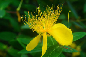 �����Ļ�ɫ��