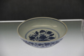 ����໨��������