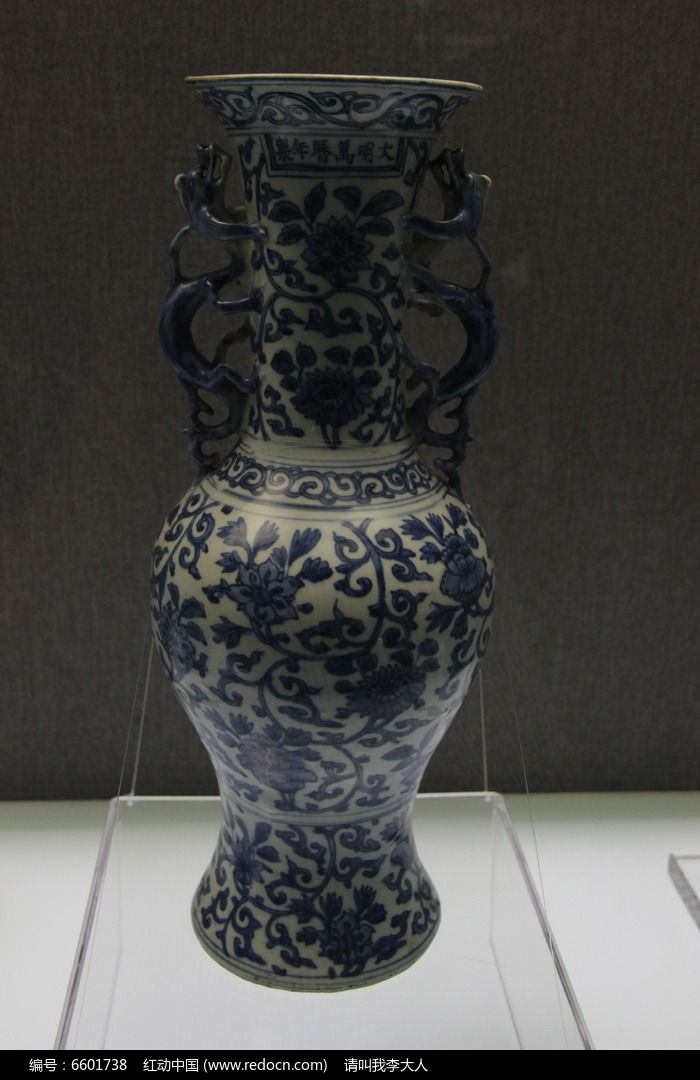 �໨��֦��������ͼƬ