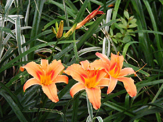 ������ݻ�