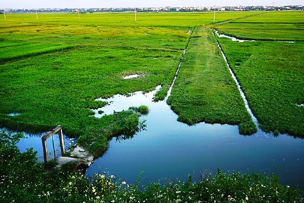 ��Ұ����