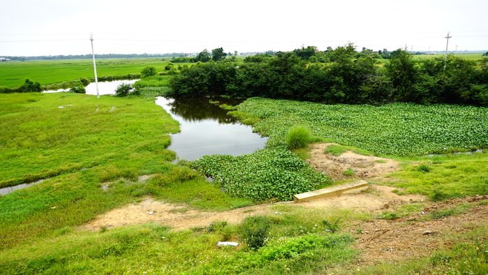 ��Ұ����