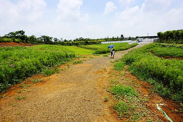 �����Ұ��·