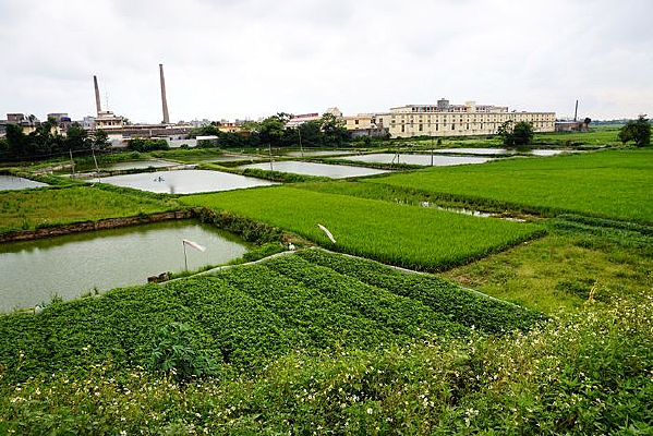 �����Ұ���