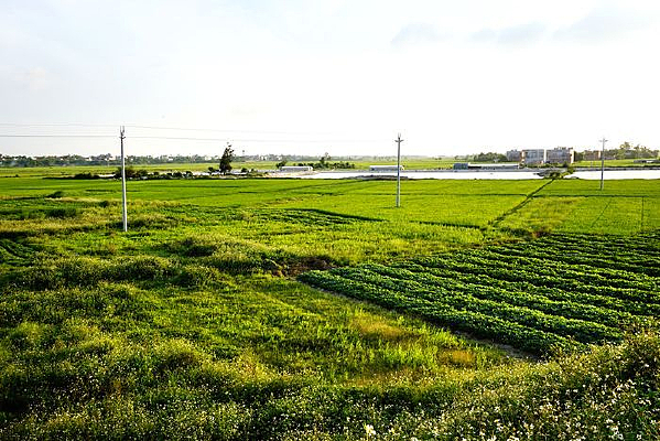 �����Ұ���