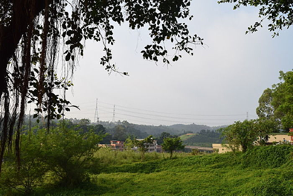 �����԰��Ӱ