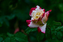 ���еĶ���¼���