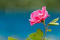 �����¼���