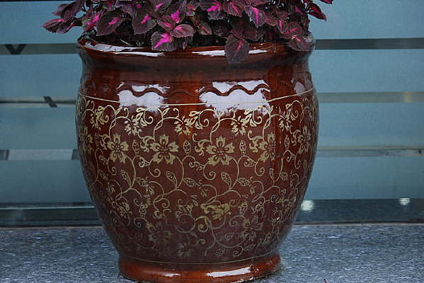 ��ɫ��������