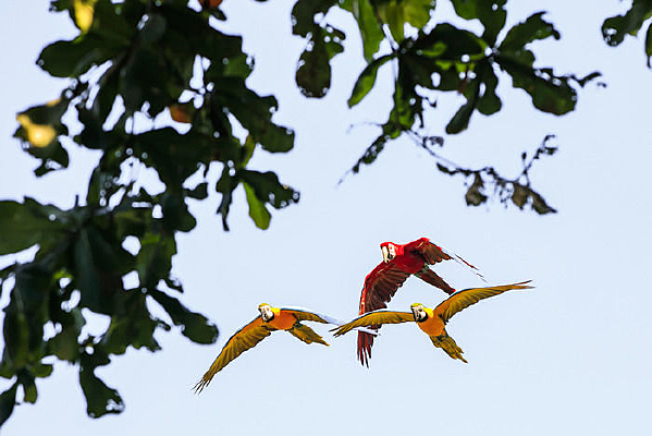 ���� ��Ӱ