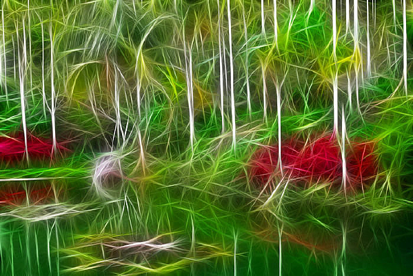 ���Ի���������Ӱ��