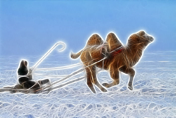 ���Ի����������硷