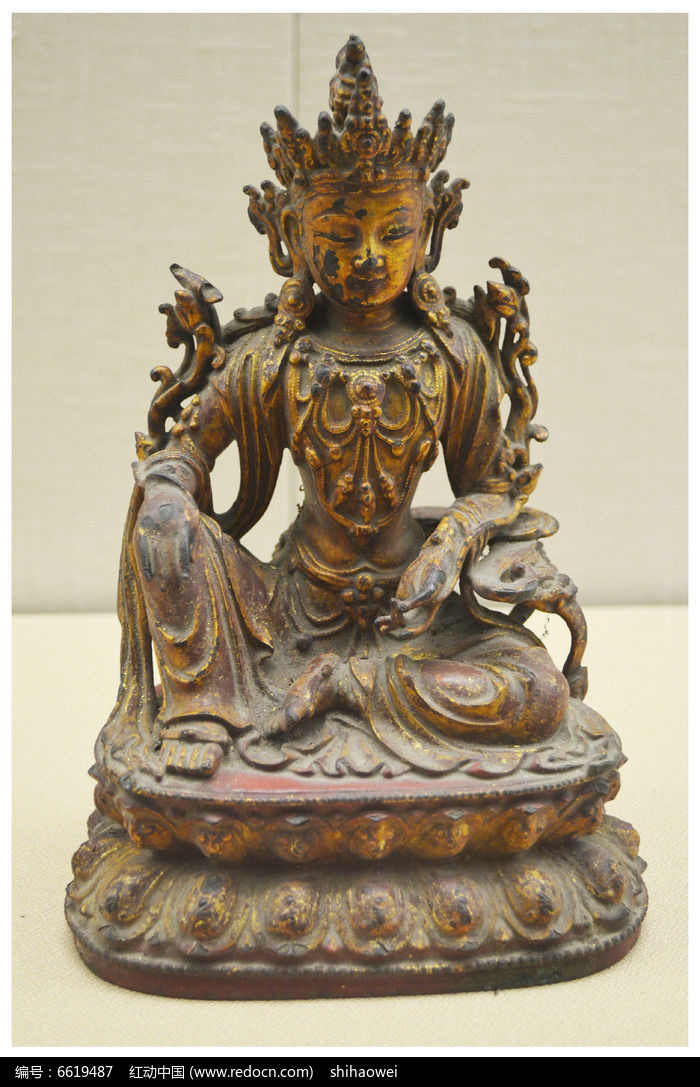 �̽����ͼƬ