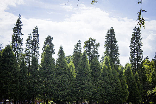 �����µĴд�����