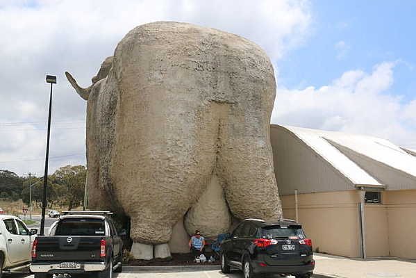 ȥϤ��·;���������