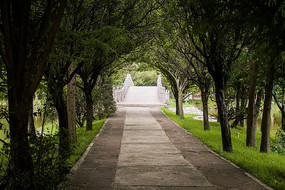 �������һ����ɫС��