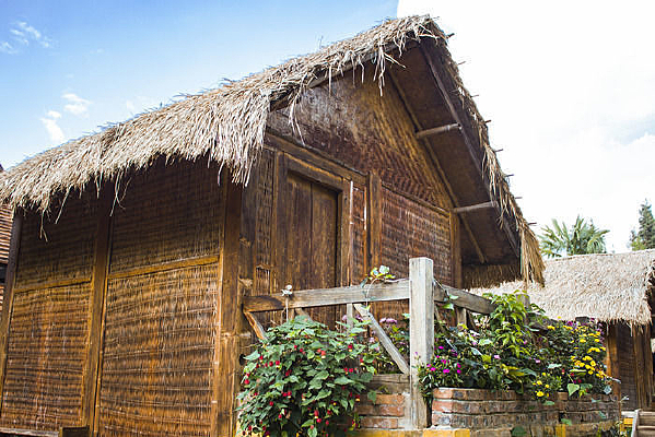 �����ʻ���é��С��¥