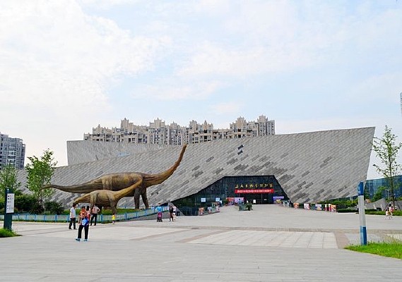 ����ʡ���ʲ���ݽ���