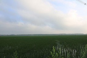 ����ˮ��