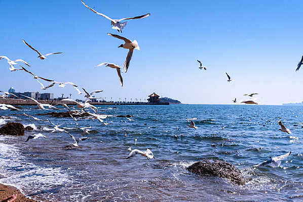 ��Ÿ����