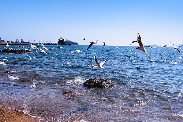 ��Ÿ����