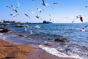 ��Ÿ����