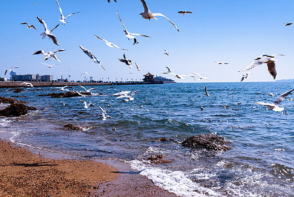 ��Ÿ����